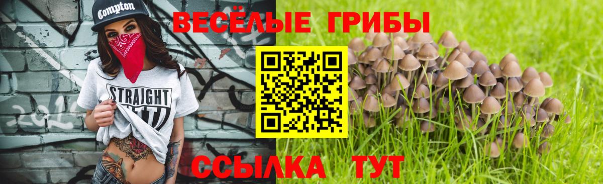 Галлюциногенные грибы GOLDEN TEACHER  Вход с VPN  Пермь 